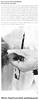 Wella 1961 01.jpg